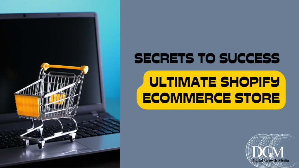 shopify ecommerce store