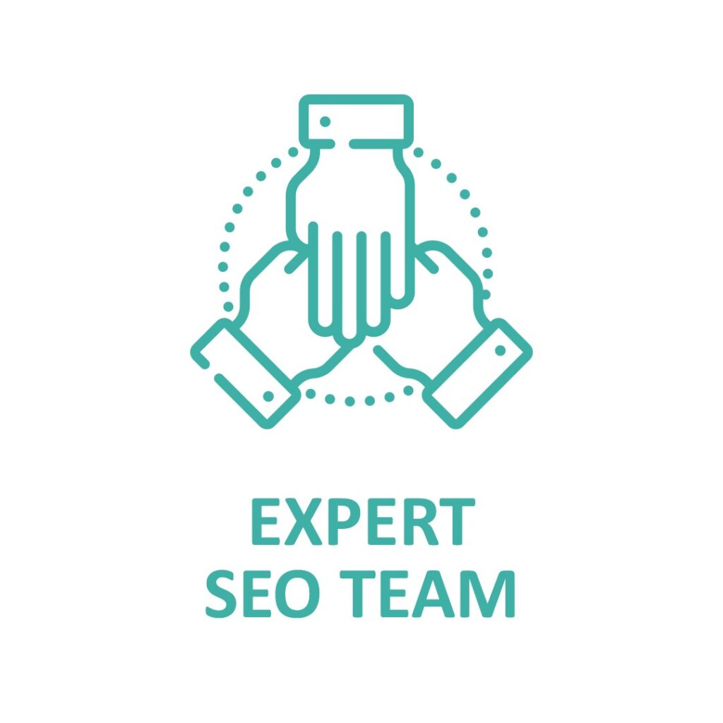 Expert SEO Team